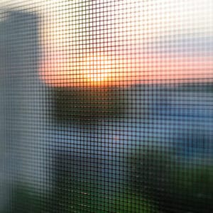 Mosquito net
