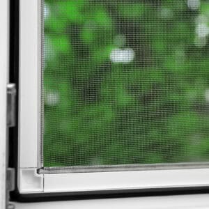 Window with mosquito screen indoors