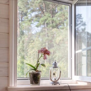 White window with mosquito net in a rustic wooden house overlooking the garden. Phalaenopsis orchid on the windowsill